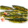 Savage Gear 4D HERRING SHAD 16CM - PIKE