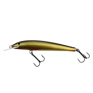 Wobler Gloog Nike 100 NG