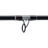 Wędka Jaxon Zaffira CATFISH 3m 400G