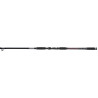 Wędka Jaxon Zaffira CATFISH 3m 400G