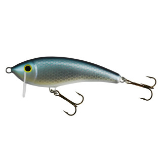 Wobler Gloog Hermes 70 RBN