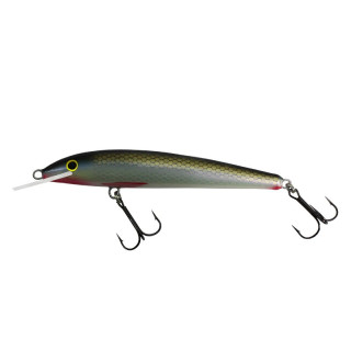 Wobler Gloog Nike 100 R