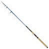 WĘDKA ROBINSON STINGER T-POWER CARP 3M 50-120G 11G-TP-300