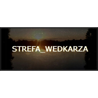 UnderCarp Ciężarek Torpeda z Krętlikiem Zielony 120g