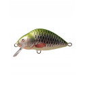 WOBLER DORADO LAKE K-4 GRS WOBLER DORADO LAKE K-4 GRS