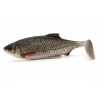 Westin Ricky the Roach Shadtail 7cm 6g Real Roach Box w. 40pcs 