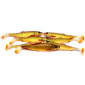 Savage Gear 4D HERRING SHAD 11CM 9G DIRTY ROACH Savage Gear 4D HERRING SHAD 11CM 9G DIRTY ROACH