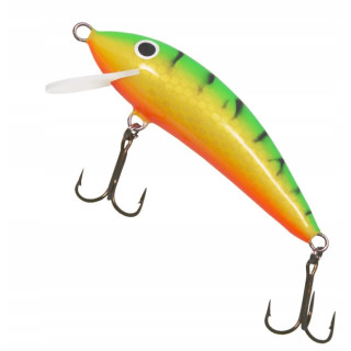 WOBLER GLOOG NIKE 80 TGF