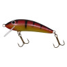 Wobler Gloog Kalipso 80 PY