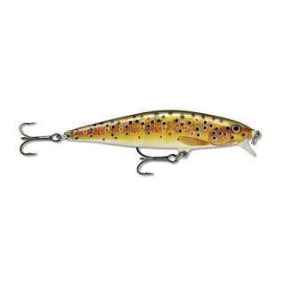 Wobler Rapala Flat RAP FLR08-TR
