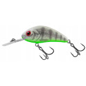 Salmo Rattlin' Hornet 6.5cm GHOST PERCH Salmo Rattlin' Hornet 6.5cm GHOST PERCH
