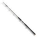 Wędka Daiwa Bg OFFSHORE PILK 2.70M 40-125G 11905-275 Wędka Daiwa Bg OFFSHORE PILK 2.70M 40-125G 11905-275