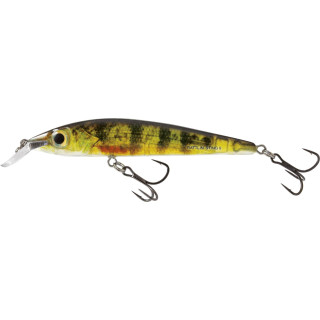 Wobler Salmo Rattlin STING RS9 SP RYP