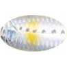 WOBLER STRIKE PRO SWING POPS TOP WATER 8.5CM 9.8G SIN046-713 TEV-EG030VL-SIN04671