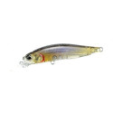 Realis Rozante 77Sp CCC3160 Realis Rozante 77Sp CCC3160