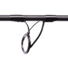WĘDKA JAXON CATFISH  E SPIN&TROLL 2,10 160g