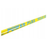 Wędka Robinson Power Flex Pole 400, 4m