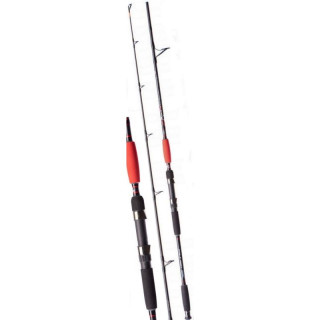 Jaxon WĘDKA Catfish E HEAVY MAX 3,15 550g