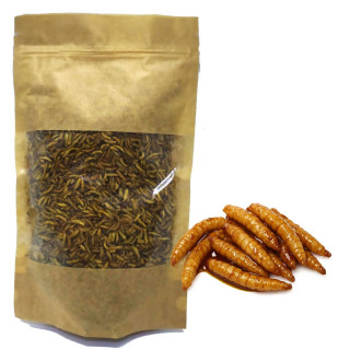 BIAŁY ROBAK SUSZONY W MELASIE