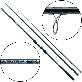 Wędka Tenesa Carp 3,60m 3 3,00lbs