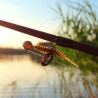 Zestaw Spinningowy Ultralight START - dla początkujących