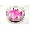 Great Fish GF1 Twister Soft Bait, Fish Scent, Pink, 10pcs