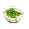 Great Fish GF1 Twister Soft Bait, Glitter Green, Fish Scent, 10pcs 49mm