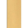 BŁYSTKA WIREK AGA NR.1 10G B AG-1B