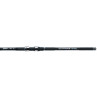 Jaxon Wędka Tenesa TELE CARP TC 3,60m 6 30-80g