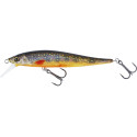 JERKBITE SR JERKBAIT 7,5CM 5G SUSPENDING BROOK TROUT FRY JERKBITE SR JERKBAIT 7,5CM 5G SUSPENDING BROOK TROUT FRY
