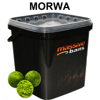 Massive Baits Eco Boilies 18mm MULBERRY 3 kg