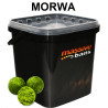 Massive Baits Eco Boilies 18mm MULBERRY 3 kg
