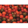 KULKI DYNAMITE BAITS CARPTEC BOILIES PINEAPPLE&BANAN 15MM 1KG ADY041163