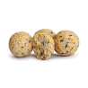 Kulki Tandem Baits EURO BOILIES 16MM 1KG CZOSNEK