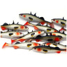 Przynęta Westin Stanley the Stickleback Shadtail 9cm 7g Lively Roach