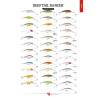 Rapala Deep Tail DANCER 13 PEL