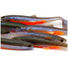 Przynęta Westin Bullteez Shadtail 9,5cm 7g Dirty Harbor