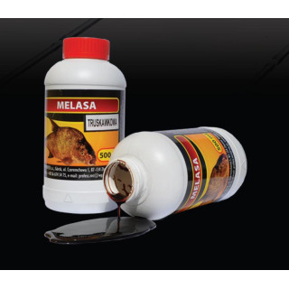 Profess Melasa Truskawka 500 ml