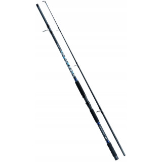 WĘDKA TENESA CATFISH 3,00m 2 up to 550g