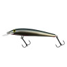 Wobler Gloog Nike 100 NS