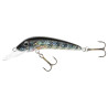 Wobler Jaxon Holo SELECT FEROX 4F O VJ-F04FO