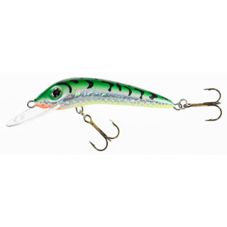 Wobler Jaxon Holo SELECT FEROX 8F VJ-F08FST