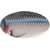 WOBLER STRIKE PRO BUSTER SWIM BAIT SINKING 13CM 65G C501F TEV-EG228-C501F
