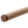 S-River Feeder Rod 3,60m 100g