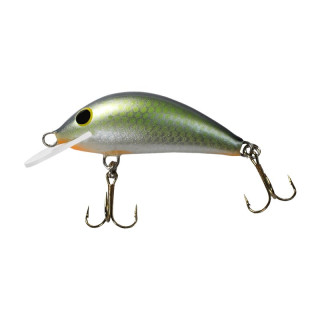 Wobler Gloog Hektor 40N RGF