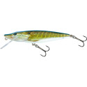 Salmo Pike Flo 16cm REAL PIKE Salmo Pike Flo 16cm REAL PIKE