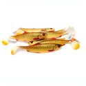 Savage Gear 4D HERRING SHAD 16CM - DIRTY ROACH Savage Gear 4D HERRING SHAD 16CM - DIRTY ROACH