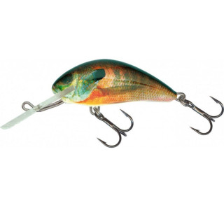 Wobler Salmo Hornet 4S RS