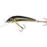 Wobler Jaxon Holo SELECT FEROX UV 10 F PE
