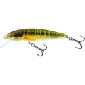 Salmo Minnow Flo 5cm HOLO REAL MINNOW Salmo Minnow Flo 5cm HOLO REAL MINNOW